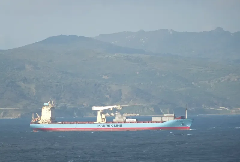 CECILIE MAERSK Container Ship IMO 9064401 photo 9