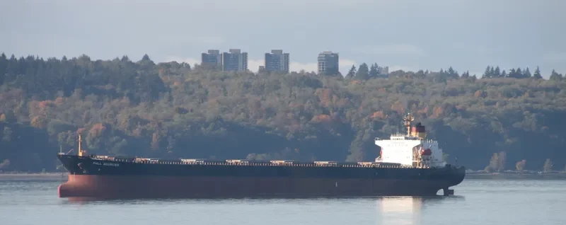 FULL SOURCES Bulk Carrier IMO 9064449 photo 2