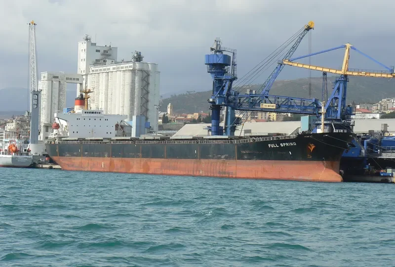 FULL SPRING Bulk Carrier IMO 9064451