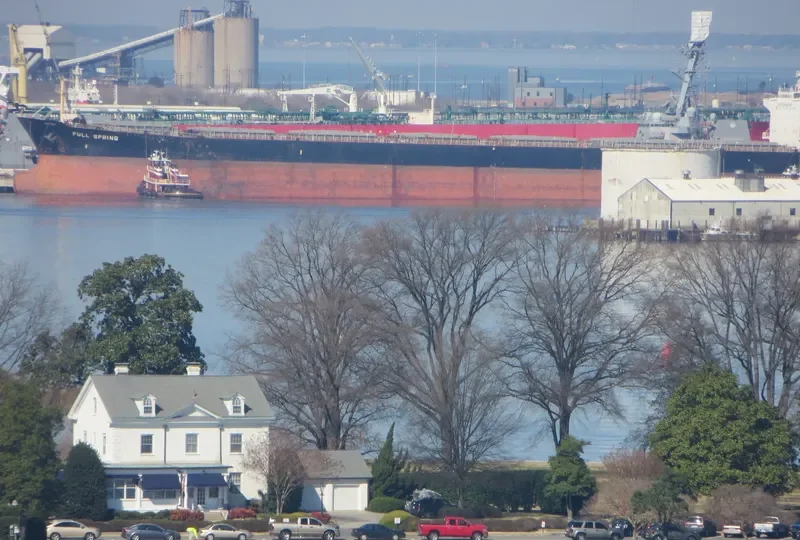 FULL SPRING Bulk Carrier IMO 9064451 photo 2