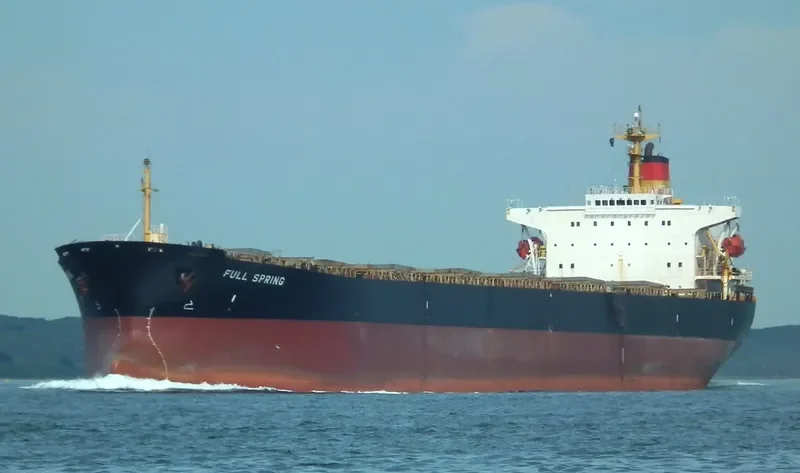 FULL SPRING Bulk Carrier IMO 9064451 photo 4