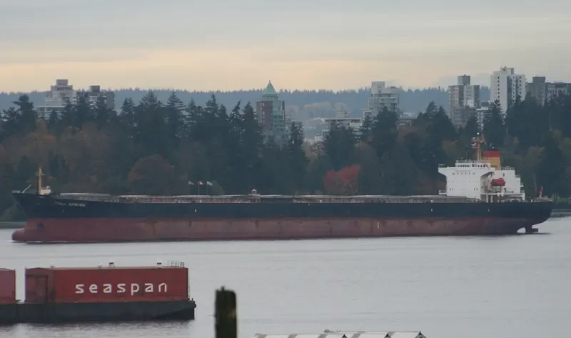 FULL SPRING Bulk Carrier IMO 9064451 photo 5