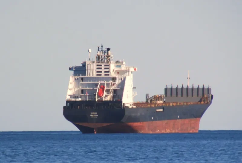 NAIROBI Container Ship IMO 9064786 photo 7