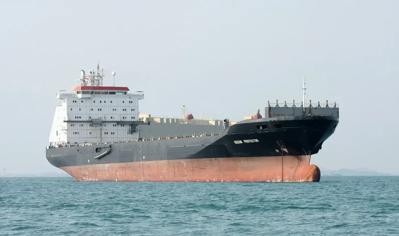 ZE HONG Container Ship IMO 9064798 photo 3