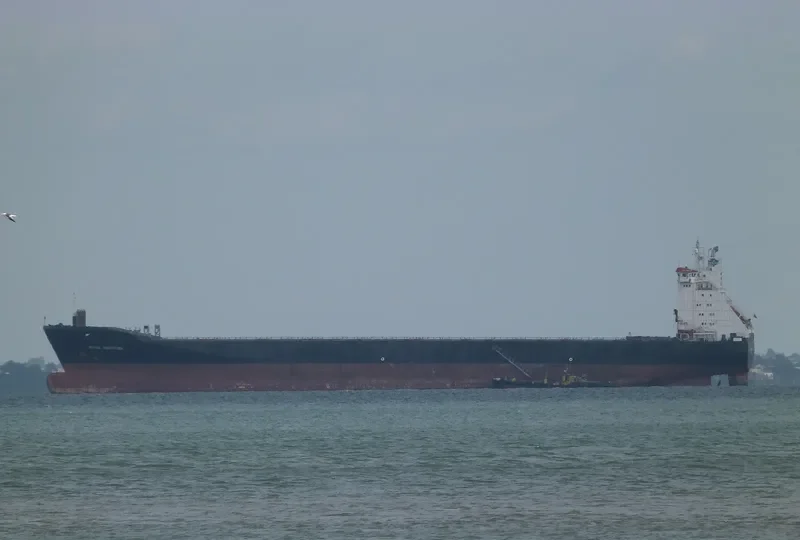ZE HONG Container Ship IMO 9064798 photo 8