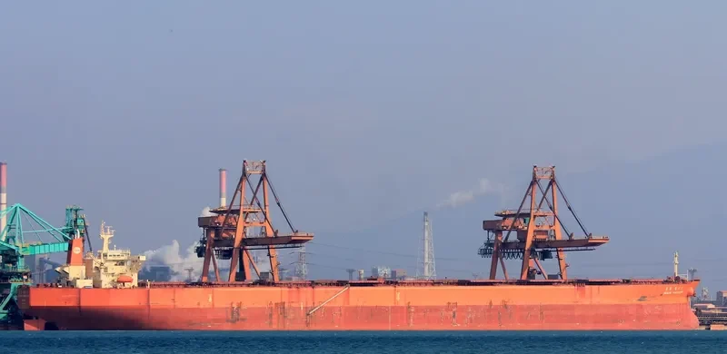 OCEAN VANGUARD Bulk Carrier IMO 9064889