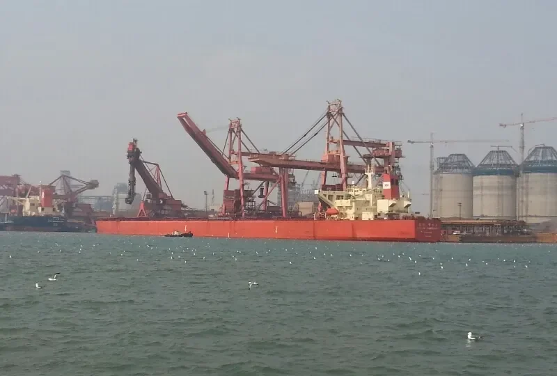 OCEAN VANGUARD Bulk Carrier IMO 9064889 photo 5