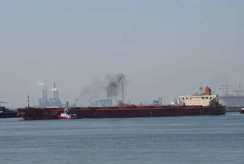 OCEAN VANGUARD Bulk Carrier IMO 9064889 photo 10