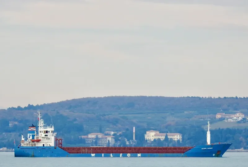 WILSON HARRIER General Cargo IMO 9064891 photo 2