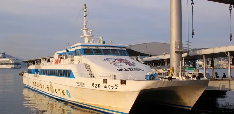 BIG EARTH NO.2 Passenger Ship IMO 9065053 photo 3