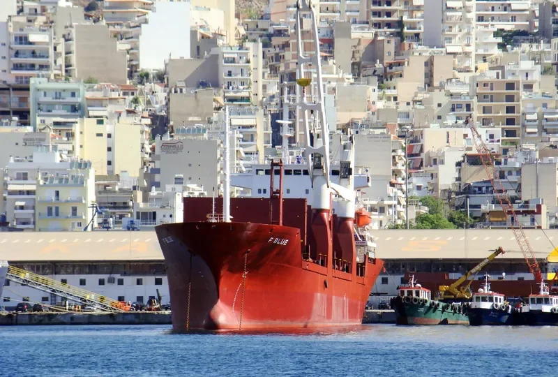 ELSIN RANI General Cargo IMO 9065900 photo 2