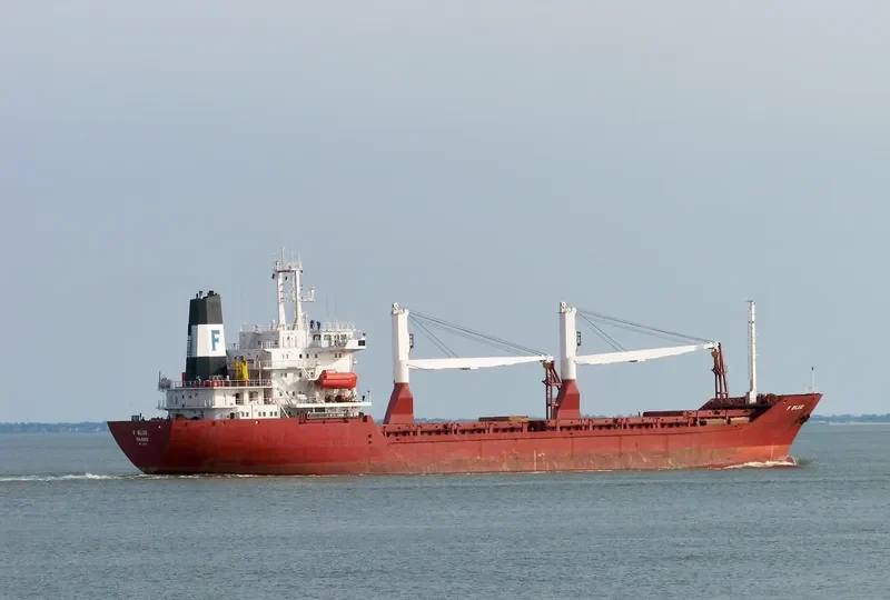 ELSIN RANI General Cargo IMO 9065900 photo 3