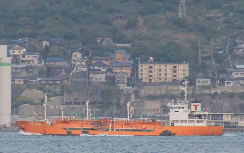 PILATUS 44 General Cargo IMO 9066502 photo 2
