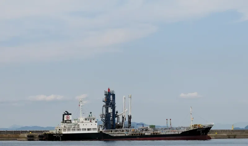 CHITOSE MARU NO.8 General Cargo IMO 9067180 photo 7