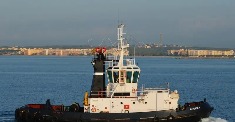 GERNIKA General Cargo IMO 9067283 photo 5