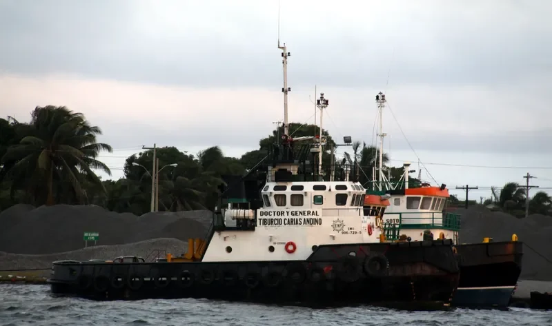 DR.Y GRAL.TIBURCIO CARIAS ANDI General Cargo IMO 9067295