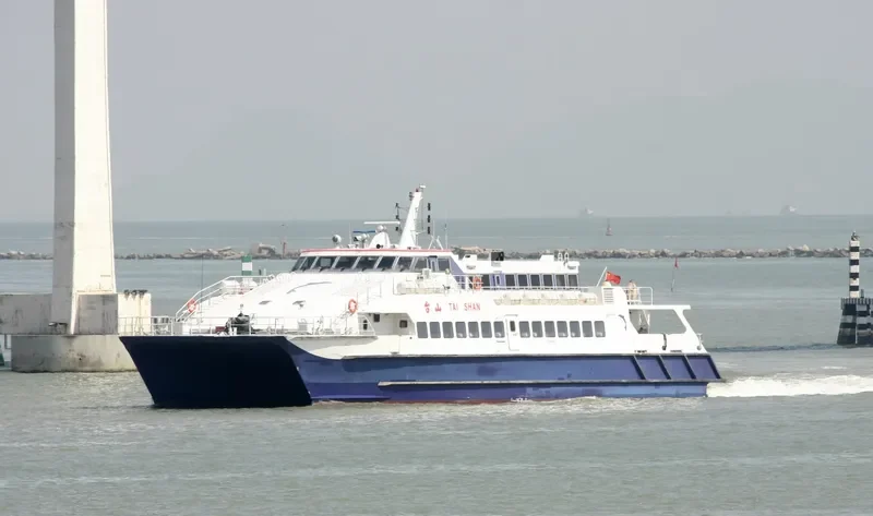 TAI SHAN Passenger Ship IMO 9067465 photo 2