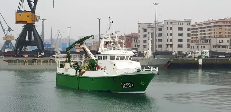 VELLINO General Cargo IMO 9067738 photo 6