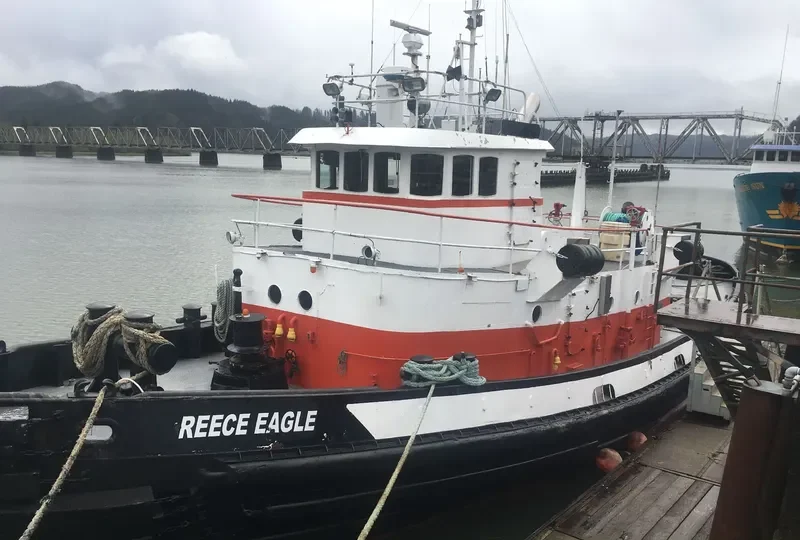 REECE EAGLE General Cargo IMO 9068160