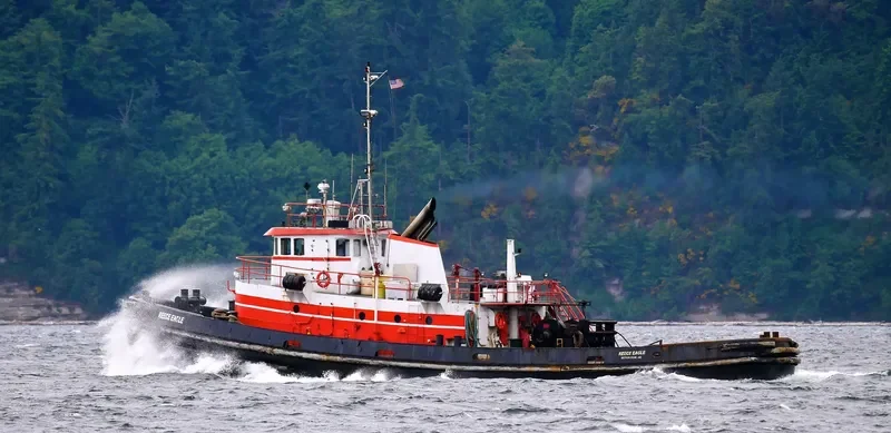 REECE EAGLE General Cargo IMO 9068160 photo 3