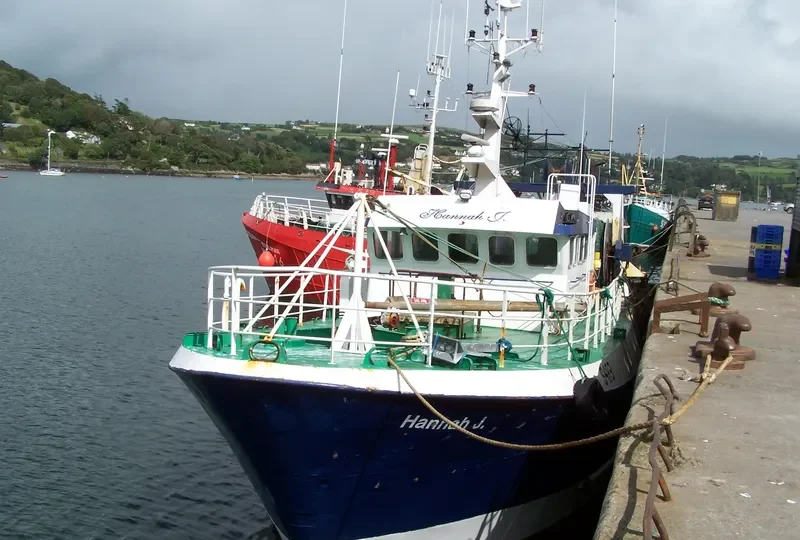 HANNAH J General Cargo IMO 9068598 photo 2