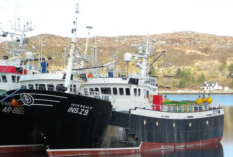 INVERDALE General Cargo IMO 9068976 photo 9