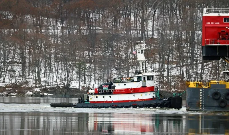 SHELBY General Cargo IMO 9069475 photo 4