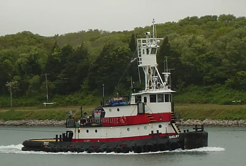 SHELBY General Cargo IMO 9069475 photo 9