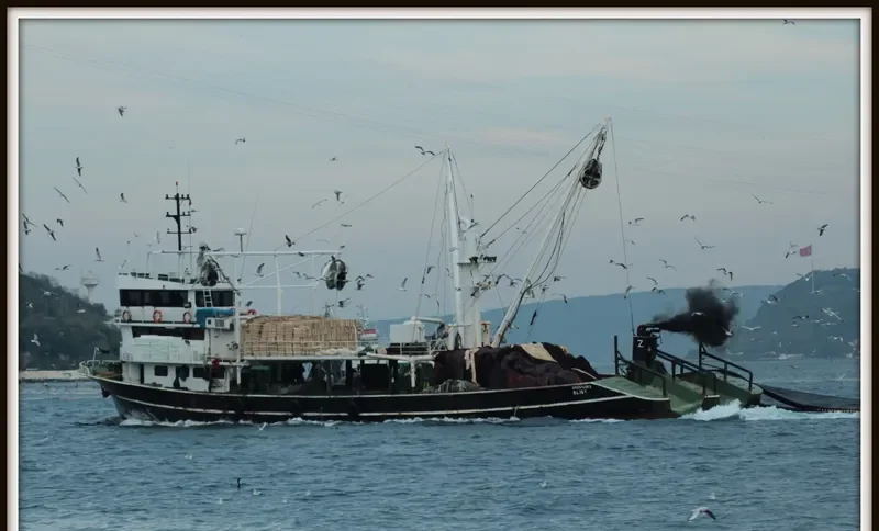SULEYMAN GIRIT General Cargo IMO 9069827