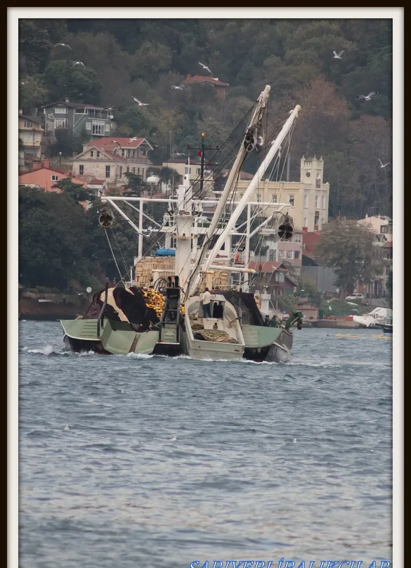 SULEYMAN GIRIT General Cargo IMO 9069827 photo 2