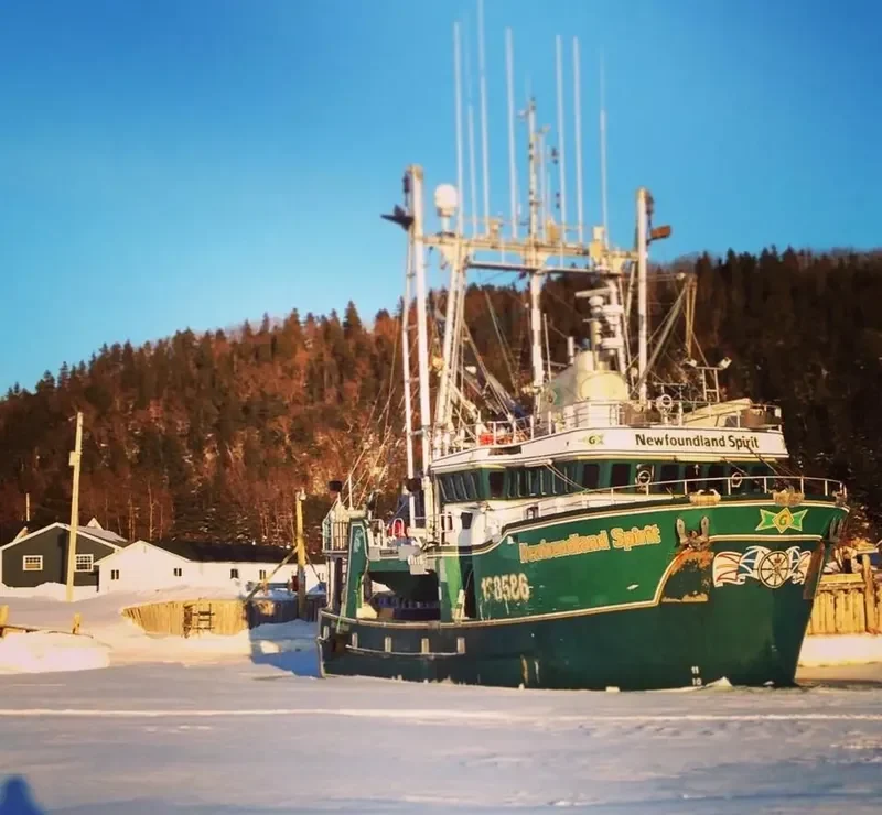 NEWFOUNDLAND SPIRIT General Cargo IMO 9069877