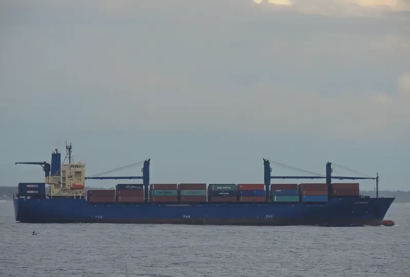 RENE Container Ship IMO 9070644 photo 2