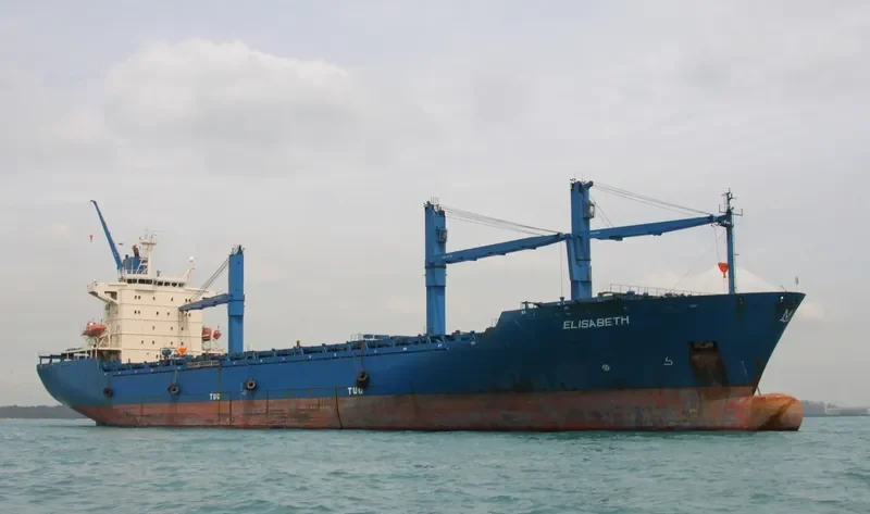 ELIS Container Ship IMO 9070656 photo 2