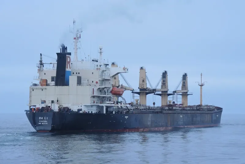 DALI Bulk Carrier IMO 9070735 photo 2