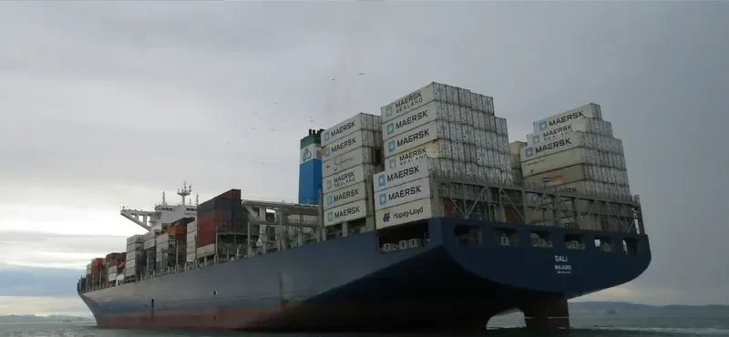 DALI Bulk Carrier IMO 9070735 photo 5
