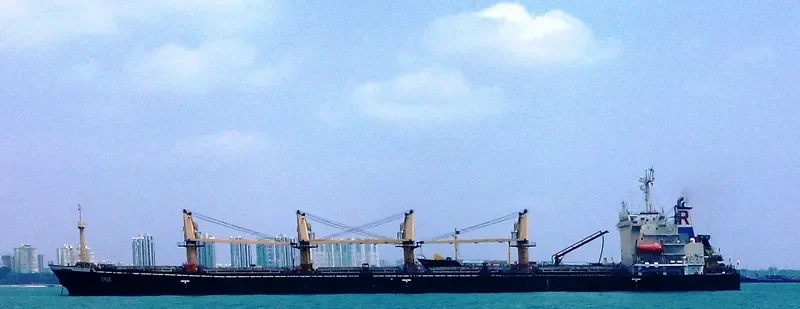 DALI Bulk Carrier IMO 9070735 photo 6