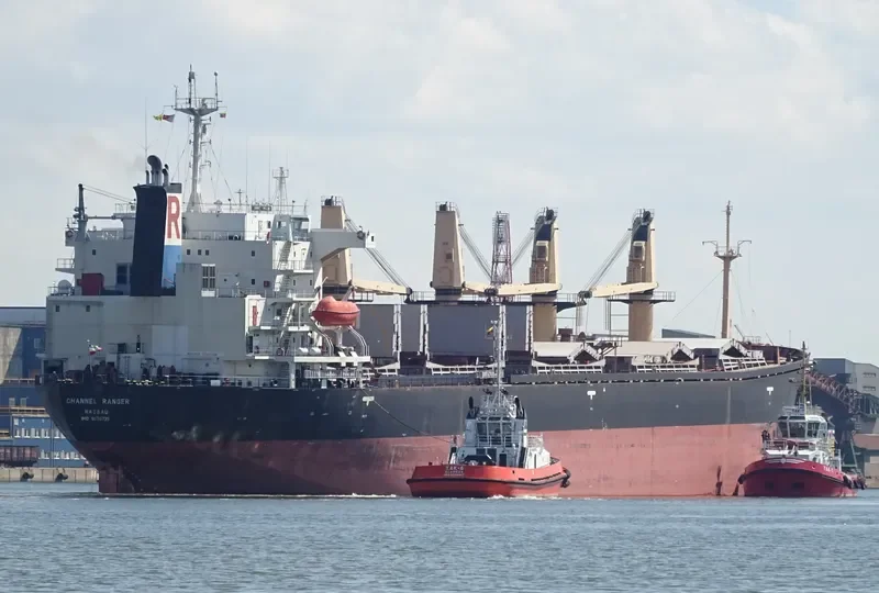 DALI Bulk Carrier IMO 9070735 photo 8