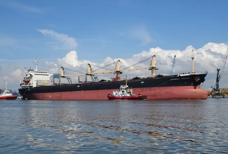 DALI Bulk Carrier IMO 9070735 photo 9