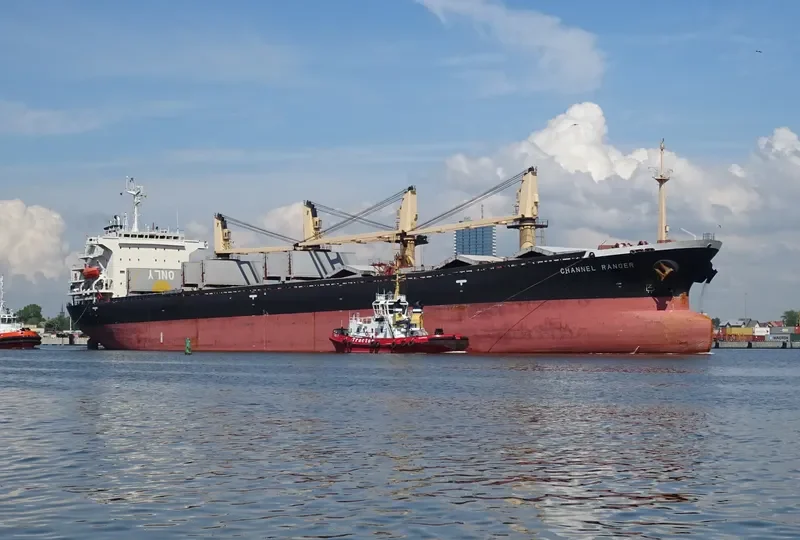 DALI Bulk Carrier IMO 9070735 photo 10