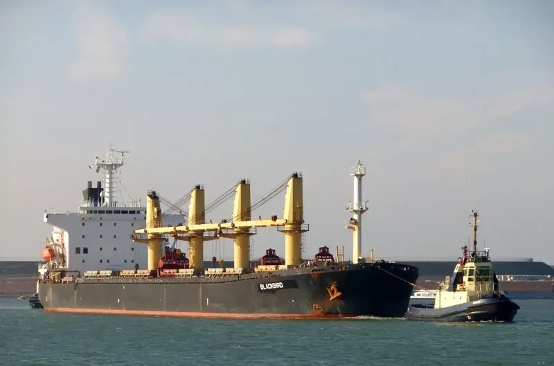 MINXI Bulk Carrier IMO 9070797 photo 4