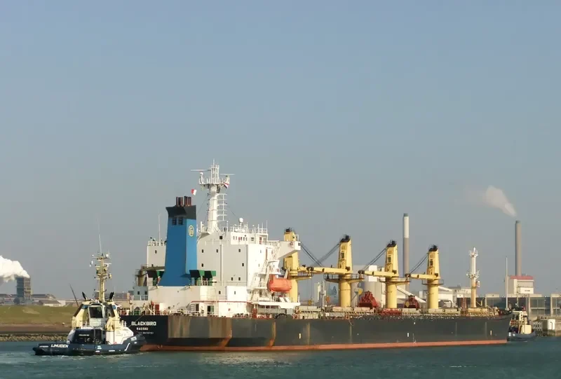 MINXI Bulk Carrier IMO 9070797 photo 5