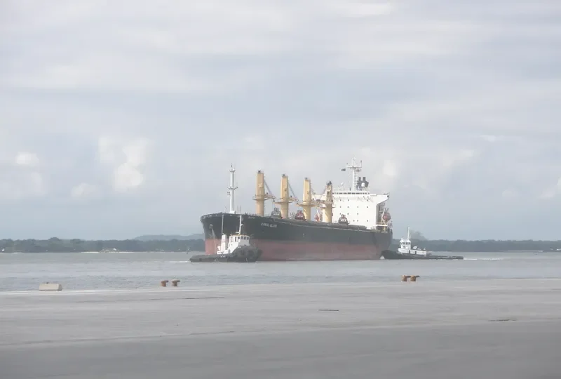 MINXI Bulk Carrier IMO 9070797 photo 9