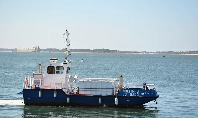 GOLFINHO DO SADO General Cargo IMO 9070864 photo 2