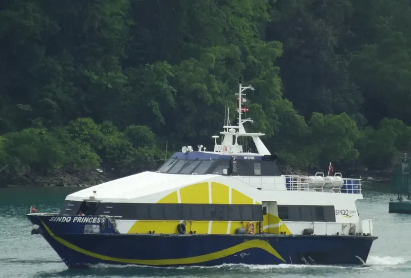 SINDO PRINCESS Ro-Ro IMO 9070888 photo 7