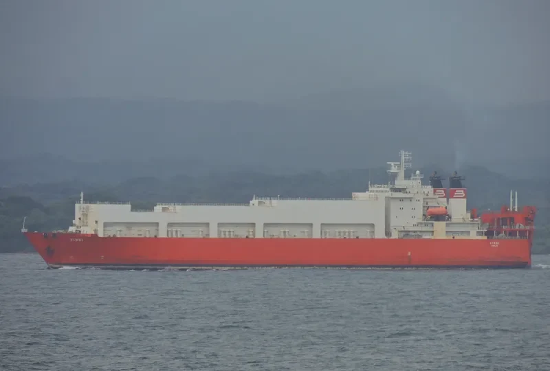 VINNI Ro-Ro IMO 9070931