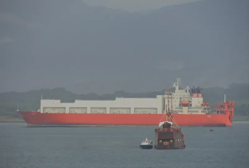 VINNI Ro-Ro IMO 9070931 photo 2