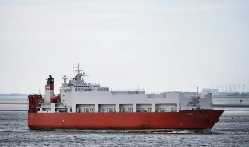 VINNI Ro-Ro IMO 9070931 photo 5