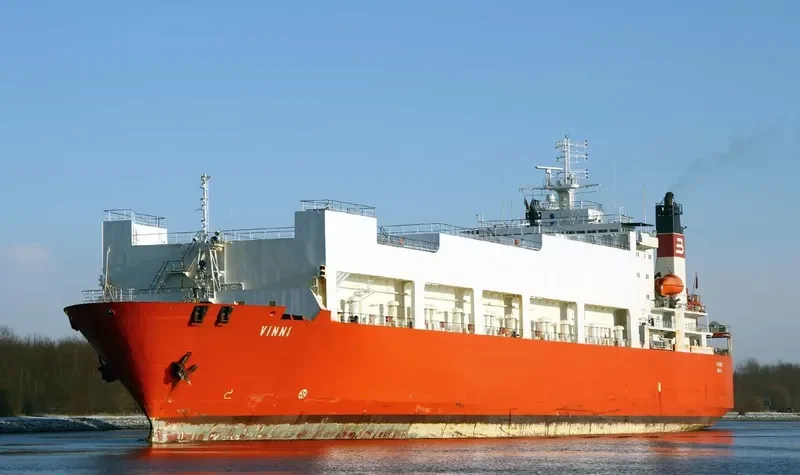 VINNI Ro-Ro IMO 9070931 photo 10