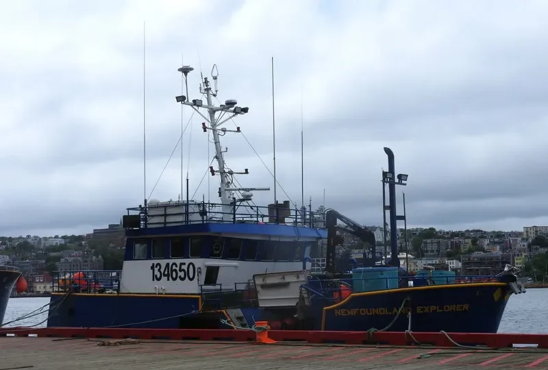 NEWFOUNDLAND EXPLORER General Cargo IMO 9071117 photo 4