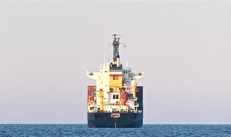 PETALIDI Container Ship IMO 9071272 photo 4